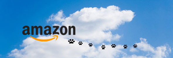 cloud computing rank