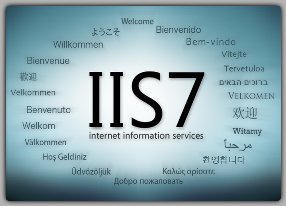 IIS7 Web Hosting