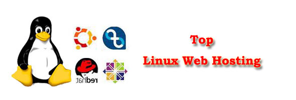 Best Linux Hosting
