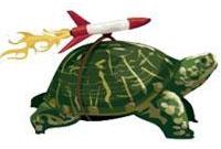 tortoise speed