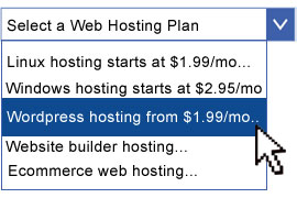 hosting plan selection